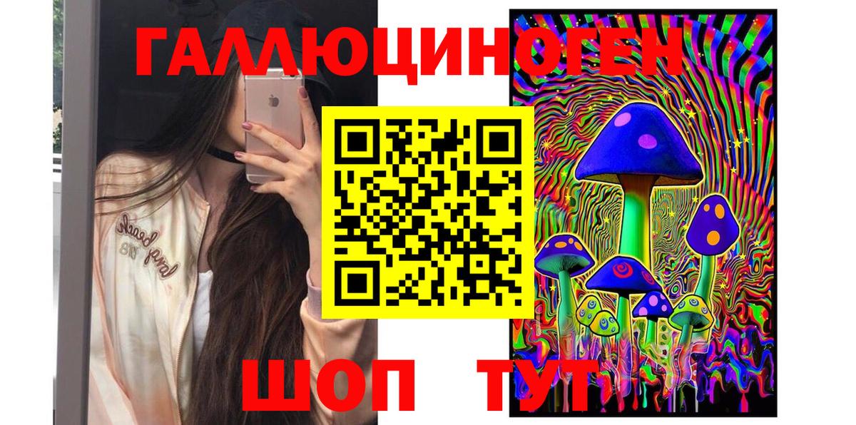 APVP Ливны