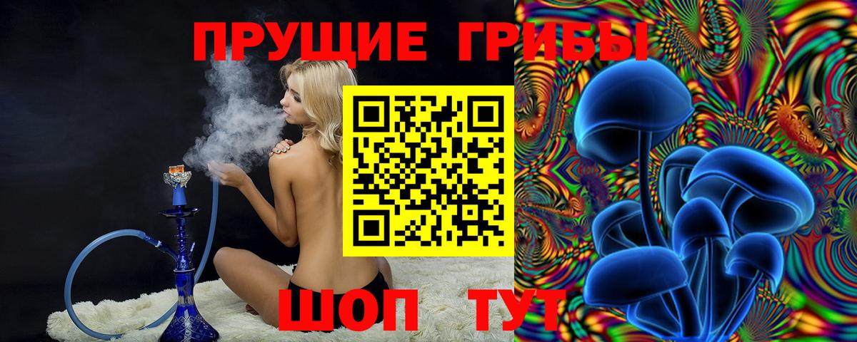 Галлюциногенные грибы MAGIC MUSHROOMS  Вход с VPN  Ливны 